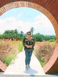 บ้านกล้วย&ไข่คาเฟ่
