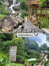 WTF COFFEE CAMP คาเฟ่น้ำตกที่สวยที่สุด ⛰️