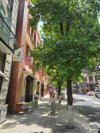 Luzumiao WalkDay🚶