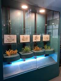 Cebu National Museum