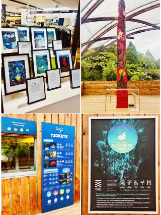 와이토모 반딧불 동굴: 자연 생태의 비밀과 반딧불이의 놀라운 전시