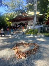 熱海｜隱身在樹林中來宮神社 繞神木一圈能延命一年傳說