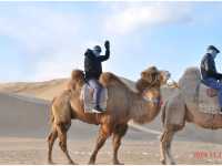 Epic Desert Theme Park Adventure: Sand, Thrills & Cable Cars 🚡🏜️