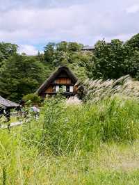 Skip the Filters, Try the Onigiri: Shirakawa-go in September