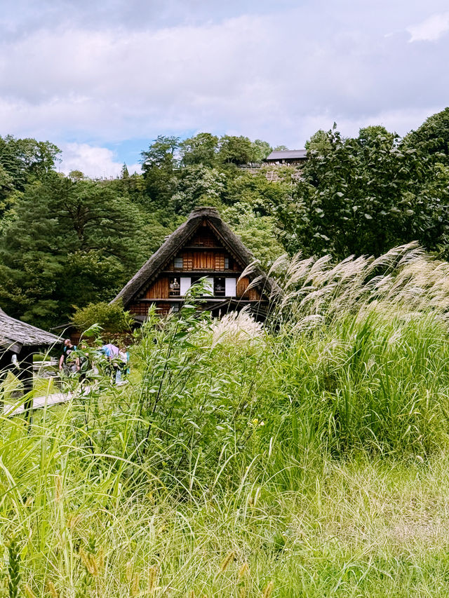 Skip the Filters, Try the Onigiri: Shirakawa-go in September