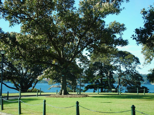 🌊 歷史與現代交織的碼頭風情：Woolloomooloo Finger Wharf