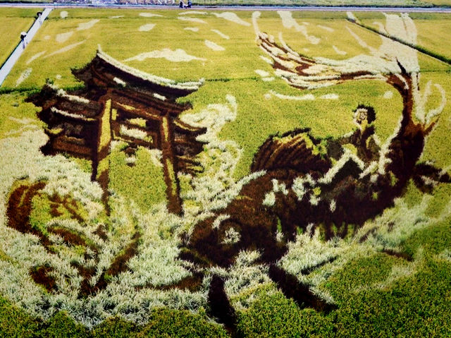 瀋陽稻夢空間🇨🇳