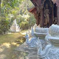🌳 วัดหลวงขุนวิน จุดหมายปลายทางสำหรับสายสงบ