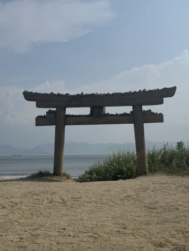2026年 ｢赤かぼちゃ｣草間彌生オーシャンビューおすすめ| Trip Moments