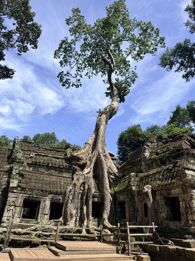 Angkor Wat Glow🌅   Angkor Wat Glow🌅