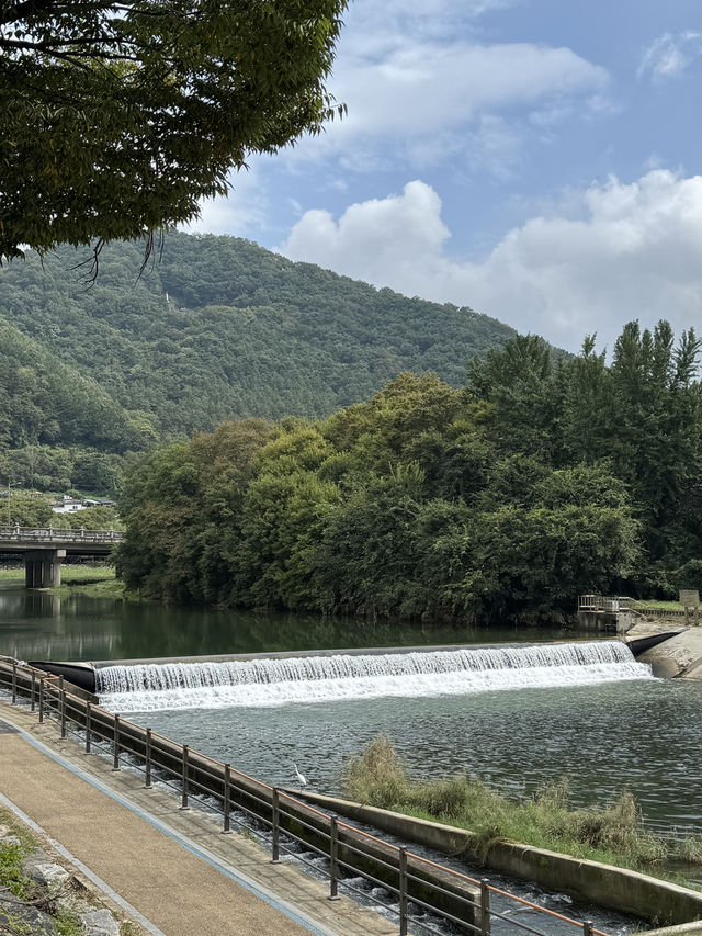 🌳 전주에서 만나는 전통과 여유로운 풍경 🌿