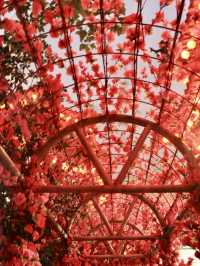 ๐ฎ Thean Hou Temple โ Kuala Lumpurโs Iconic Celebration of Culture & Harmony