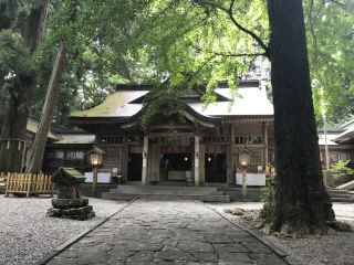 【다카치호 신사】부부 삼나무에서 소원을 빌며 신화의 고장에서 인연의 힘을 느껴보세요.