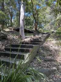 🌳 探訪「總理森林步道Prime Ministers’ Walk」：城市中的森林漫遊