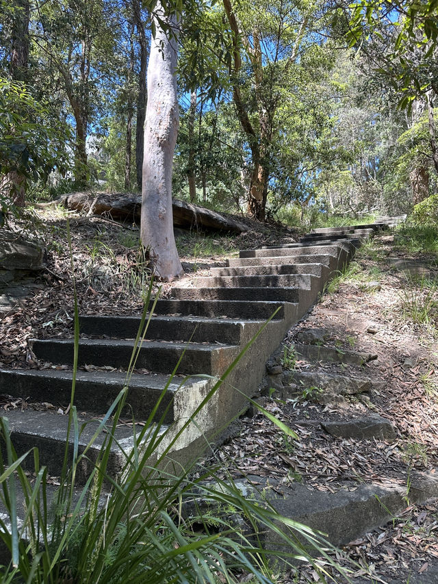 🌳 探訪「總理森林步道Prime Ministers’ Walk」：城市中的森林漫遊