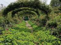 Claude Monet's House and Gardens - Giverny