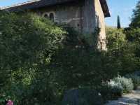 Garden of Ninfa