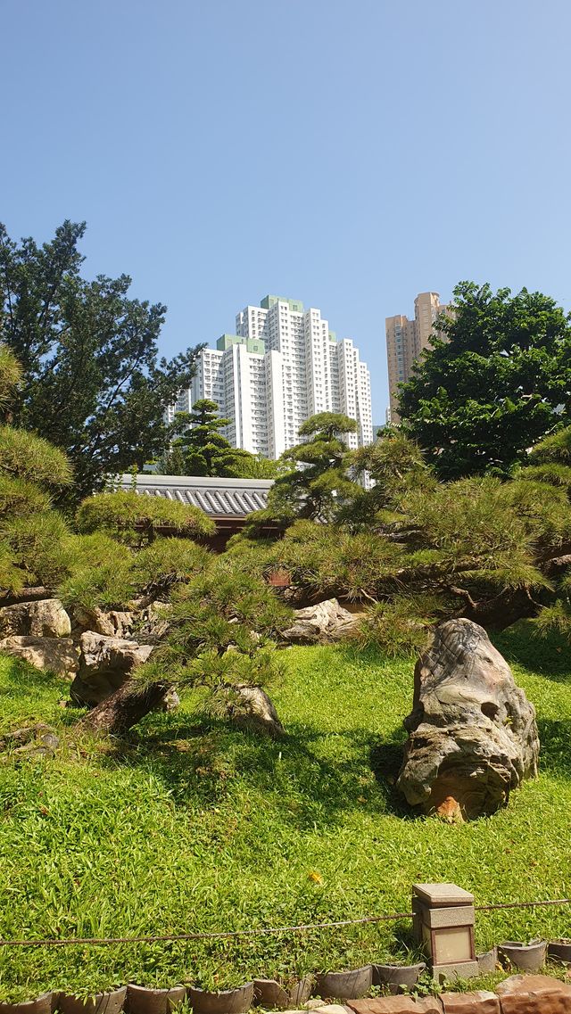 Nan Lian Garden, Hong Kong Nan Lian Garden, Hong Kong