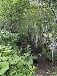 北海道美瑛町—拓真館
