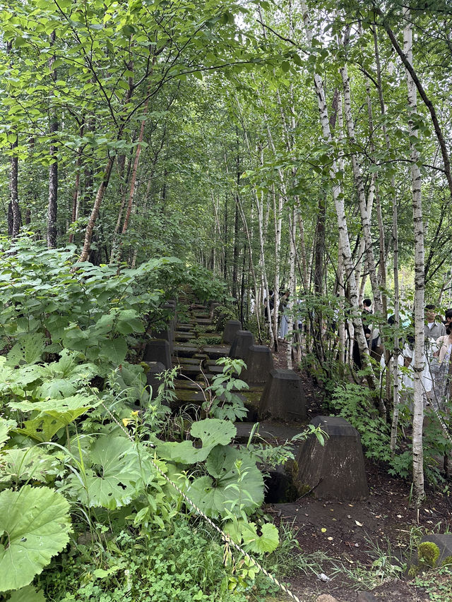 北海道美瑛町—拓真館