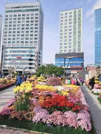釜山🇰🇷廣安大橋🌁海濱咖啡街～花海片片