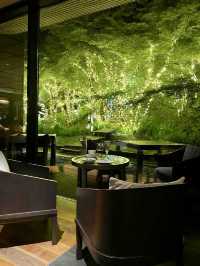♨️ Serenity & Style at Hakone Kowakien Ten-yu