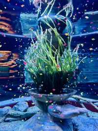 🐢🌊  The Sea Shell – Inside the Giant Turtle of VinWonders Phu Quoc