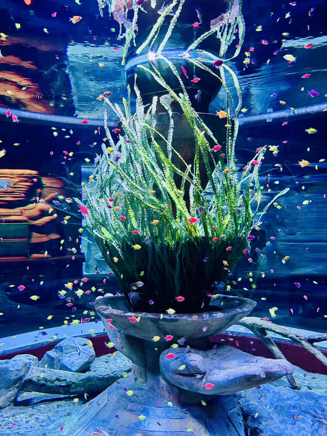 🐢🌊  The Sea Shell – Inside the Giant Turtle of VinWonders Phu Quoc