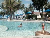 OZO Chaweng Samui 🌴🌊