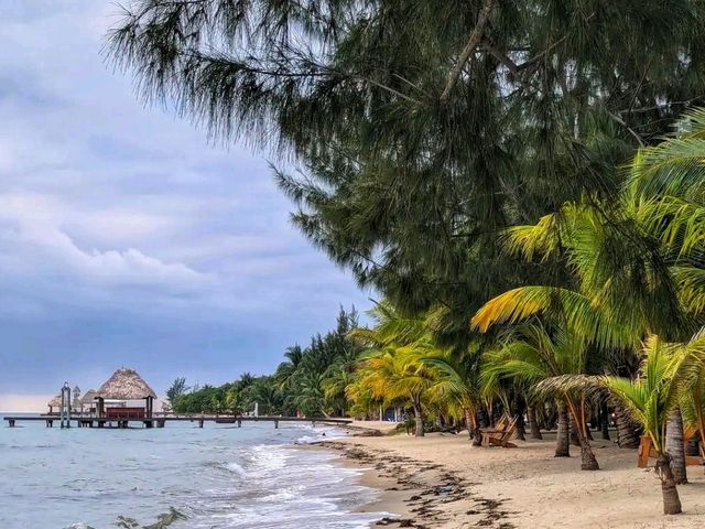 🏝️💦 Silk Cayes – Belize’s Tropical Hideaway 🏝️💦 Silk Cayes – Belize’s Tropical Hideaway