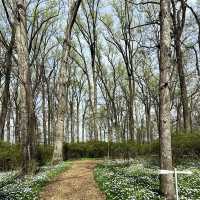 Winterthur Museum, Garden & Library