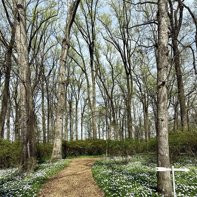Winterthur Museum, Garden & Library