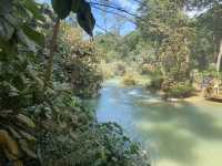 Lost in Kuang Si Paradise 💦🌿