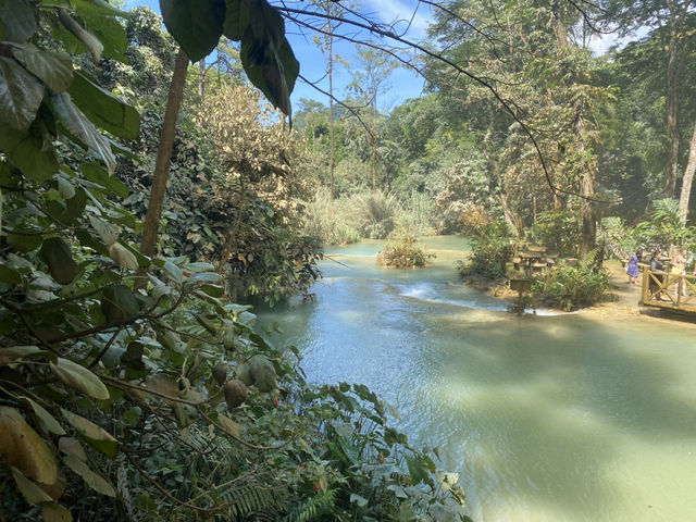 Lost in Kuang Si Paradise 💦🌿 Lost in Kuang Si Paradise 💦🌿