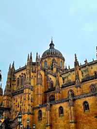 하늘을 향한 돌의 노래 살라망카대성당