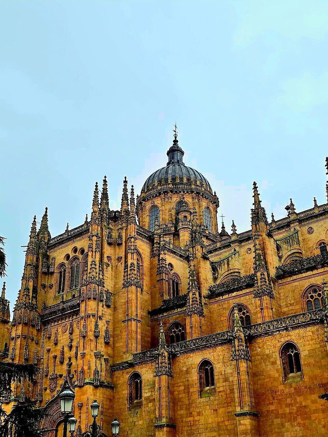 하늘을 향한 돌의 노래 살라망카대성당