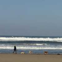쉿! 🇮🇩 발리, 천국의 풀빌라 몰래 공개해요!