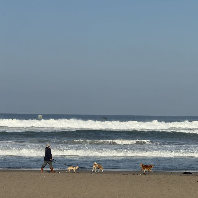 쉿! 🇮🇩 발리, 천국의 풀빌라 몰래 공개해요! 쉿! 🇮🇩 발리, 천국의 풀빌라 몰래 공개해요!