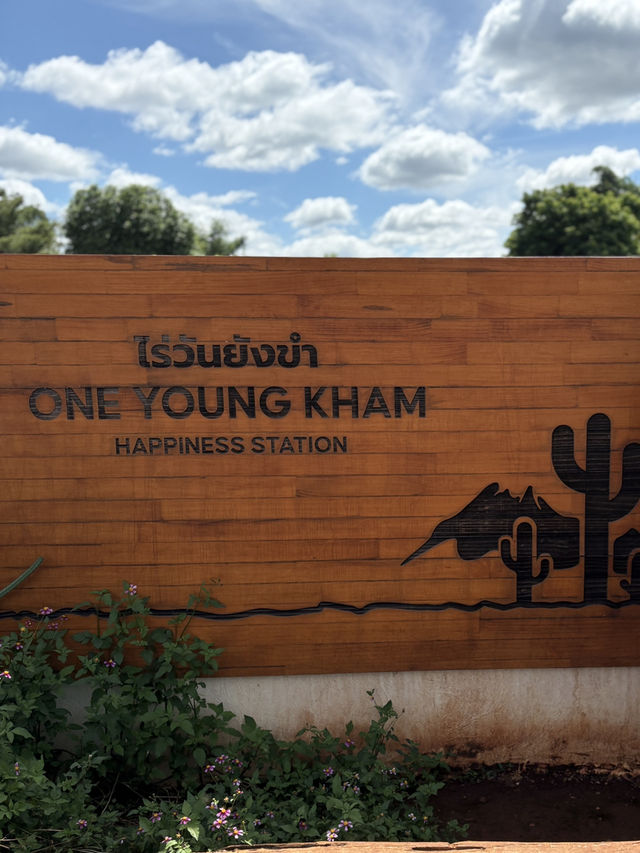 ไร่วันยังขำ คาเฟ่ โอพันเทีย และสวนสน ไร่วันยังขำ คาเฟ่ โอพันเทีย และสวนสน