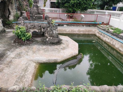 วันเก่าแก่สมัยกรุงศรีอยุธยากลางกรุงเทพมหานคร วันเก่าแก่สมัยกรุงศรีอยุธยากลางกรุงเทพมหานคร