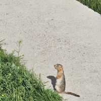 🏜️🐎 끝없는 초원이 펼쳐진 나라, 몽골🇲🇳✨