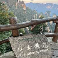 Zhangjiajie National Forest Park — East Gate One-Day Route That Actually Works