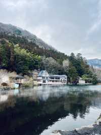 ๐ฏ๐ตํฉ๊ธ๋น์ผ๋ก ๋ฐ์ง์ด๋ ์ ํ์ธ์ ๋ณด๋ฌผ ๊ธด๋ฆฐ์ฝ ํธ์