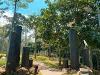 A Bird’s-Eye View: Menara Tinjau, Taman Wetlands