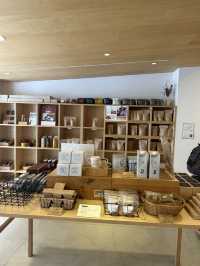 🇯🇵奈良一日遊|鹿群×古寺×人氣咖啡甜品巡禮✨