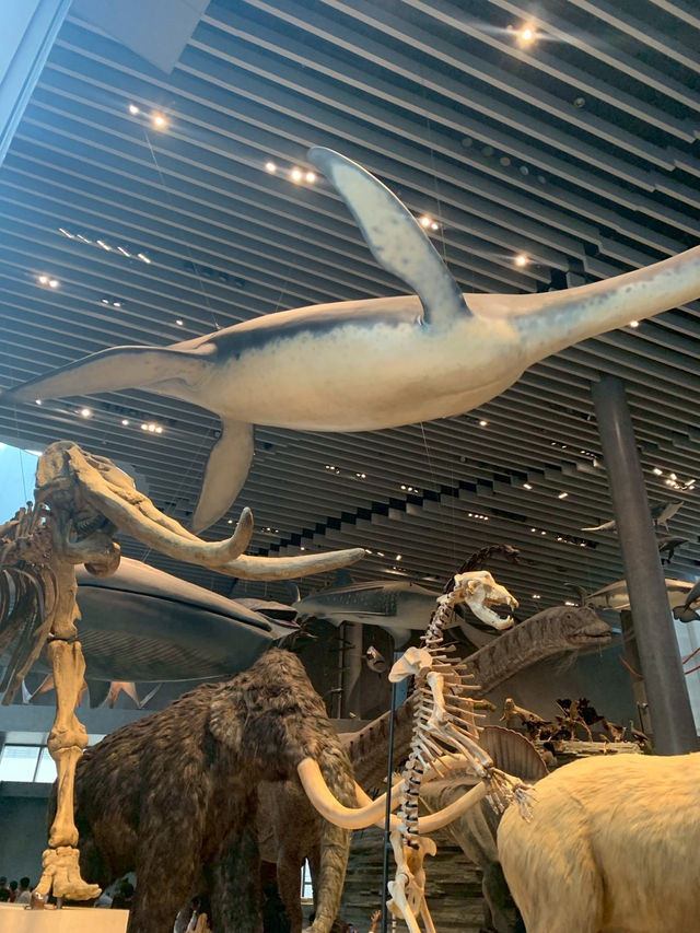 Shanghai Natural Museum 🐒🫎🦕🦖🦑🐋