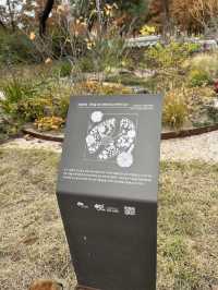 전주 아울정원 야외정원 숲산책로 추천🌲