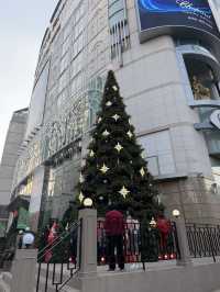 반짝이는 연말, 크리스마스 명동