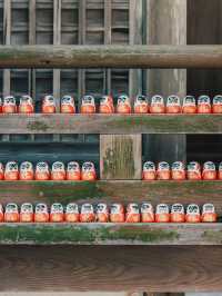 勝尾寺超級可愛滿山達摩!