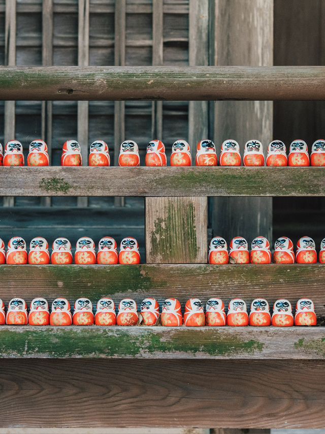 勝尾寺超級可愛滿山達摩! 勝尾寺超級可愛滿山達摩!